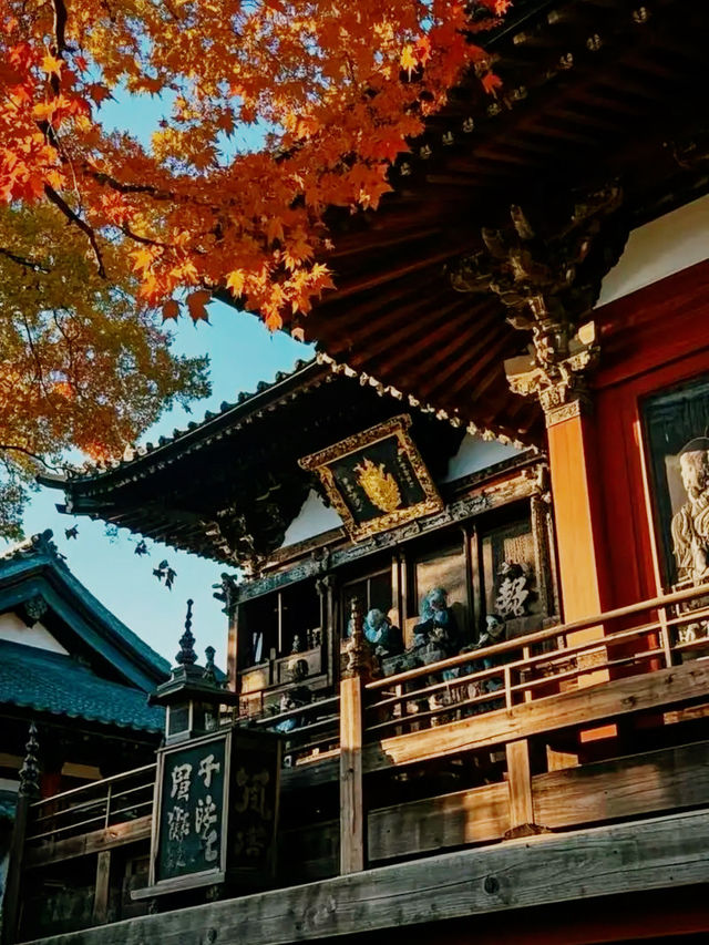 仙台🇯🇵城市樣貌