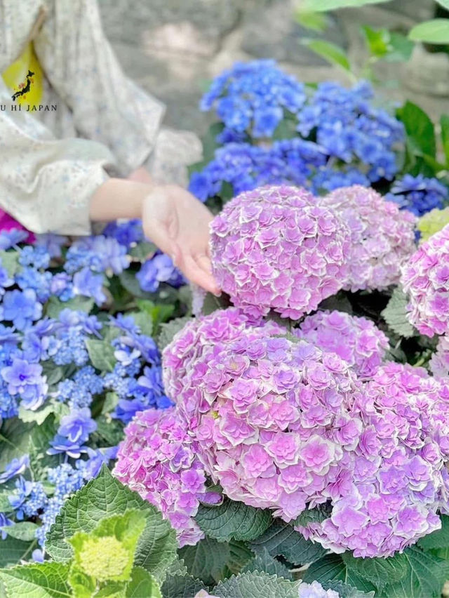 Flower Temple Magic🌸