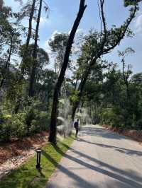 🇨🇳 Guifeng Scenic Spot — A Hidden Danxia Wonderland Near Shangrao, Jiangxi