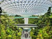 天空の五つ星ホテル🩵ウエスティン