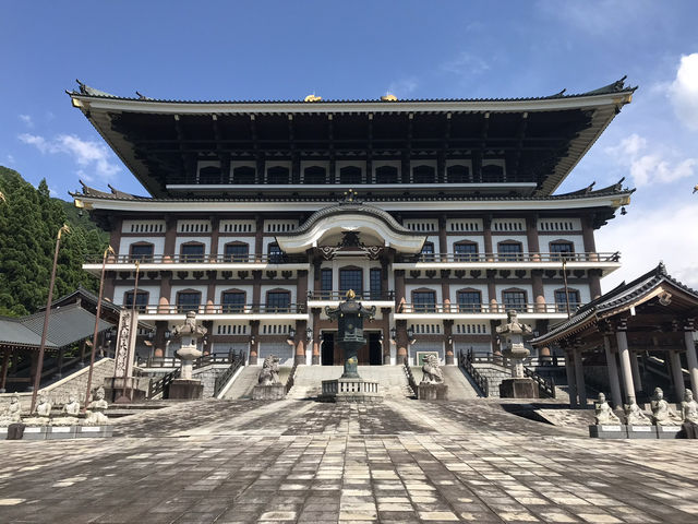 【福井・越前大仏🪷】圧巻のスケール！日本一大きな坐像を拝む旅