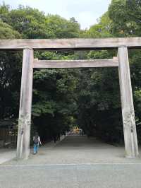 Peaceful Shrine Walk🌞