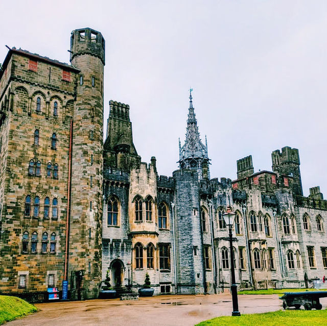 Solo Splendour: A Day of Discovery at Cardiff Castle Solo Splendour: A Day of Discovery at Cardiff Castle
