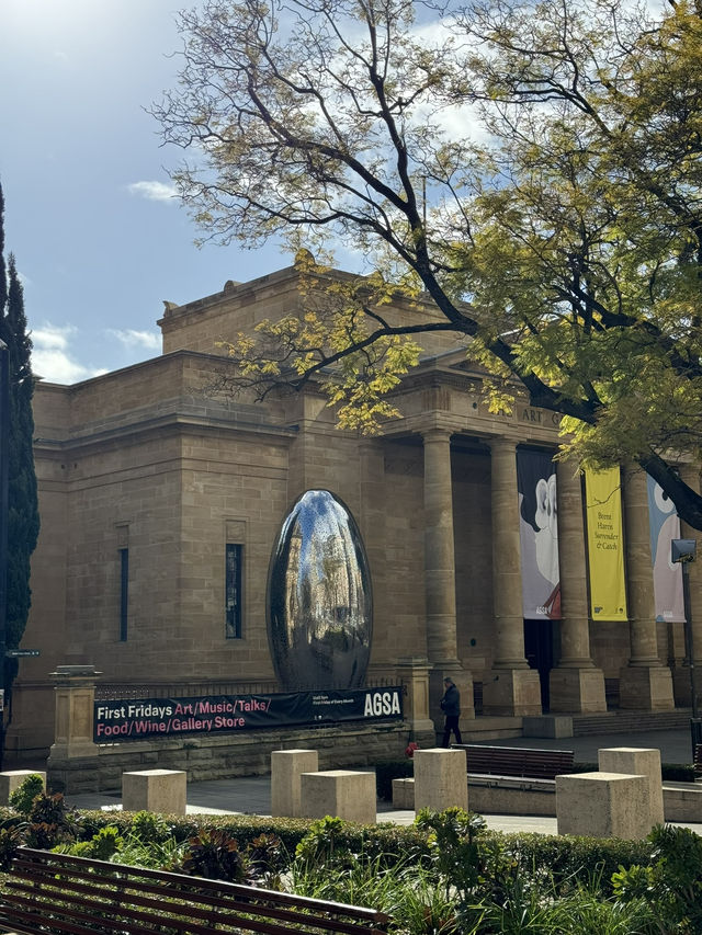【オーストラリア・アデレード】芸術と感性が出会う場所「Art Gallery of South Australia」🎨