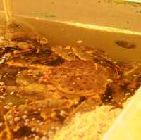 🐟 Taipei Fish Market  เหมือนอยู่ญี่ปุ่นกลางไทเป