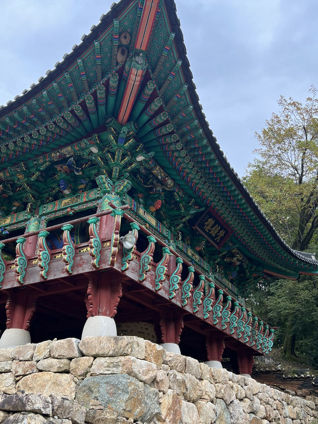 고즈넉한 산사에서 사색하며🦋