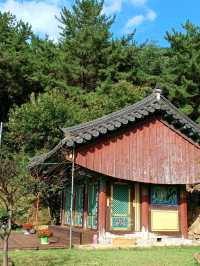 평화로운 기운이 감도는 김해의 명소