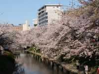 สวยตรงปกไม่จกตา ต้อง Toyama Asahi funakawa 