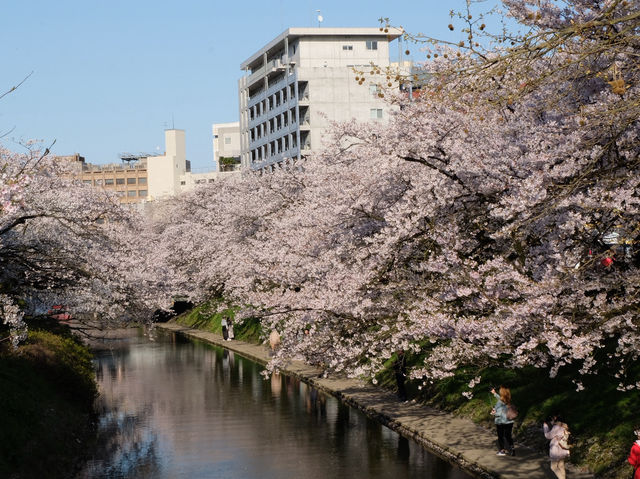 สวยตรงปกไม่จกตา ต้อง Toyama Asahi funakawa 