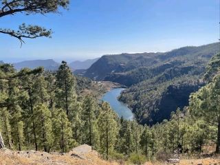 자연의 평온함, 라스팔마스의 프레사 데 라스 니냐스