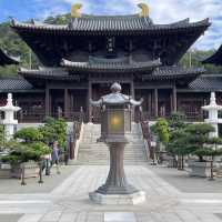 Limited budget but unlimited experience