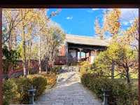 Autumn Charm in the Water Town