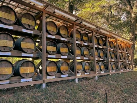 A Peaceful Escape in the Heart of Tokyo — Meiji Jingu Shrine