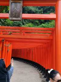 A Convergence of Asian Cultures at The Great Asia-Africa