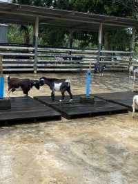 🌿 เปิดวาร์ป “แดนเทวดา” คาเฟ่ที่เล่นใหญ่ที่สุดดดดด