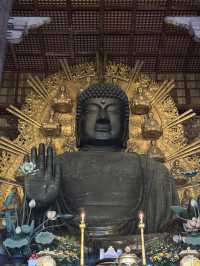 東大寺highly recommended