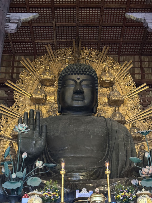 東大寺highly recommended