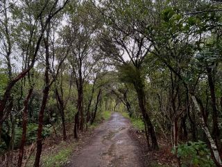 迷人的海岸門戶—馬爾堡海 Sounds