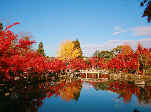 Autumn in Kansai