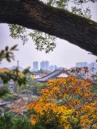 Terracotta warriors and Hua Qing palace are a must in Xi'an