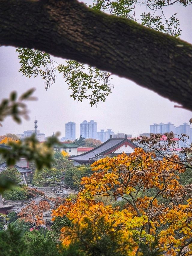 Terracotta warriors and Hua Qing palace are a must in Xi'an