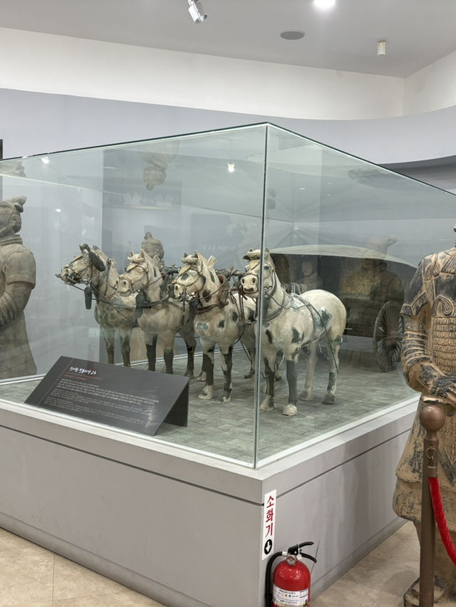 濟州🍊 西歸浦 徐福公園 尋找長生不老藥的故事🆓免門票景點 濟州🍊 西歸浦 徐福公園 尋找長生不老藥的故事🆓免門票景點