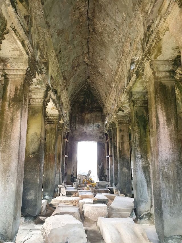 Timeless Pillars✨ Timeless Pillars✨