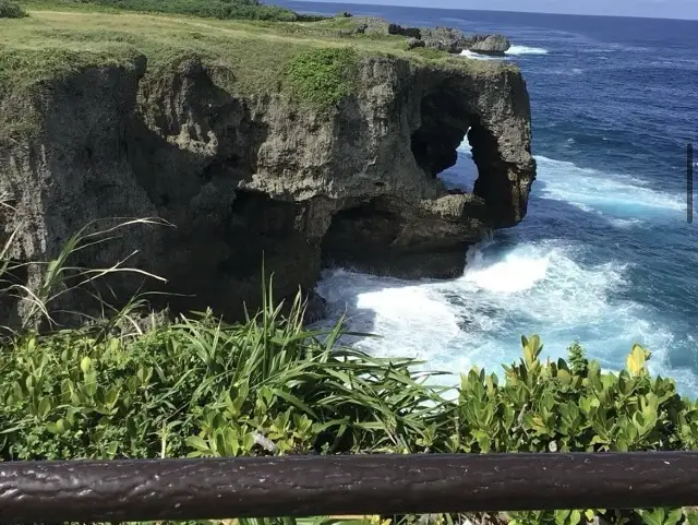 면허가 없어 오키나와 관광지 가기 힘들다면? 북부투어 버스 추천 합니다!