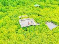 ทุ่งโปรงทอง ระยอง