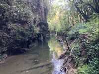 Waitomo Glowworm Caves