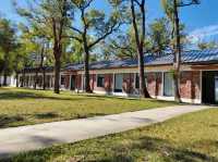 城市裡的靜謐綠洲:虎頭山「禾林浮島」早午餐&虎頭山創新園區散策