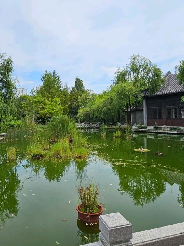 수원 월화원 꼭 다녀와보세요 수원 월화원 꼭 다녀와보세요