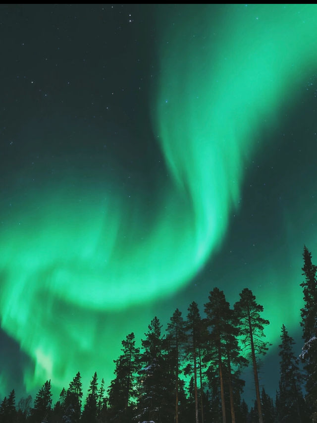 Chasing the Northern Lights in Mohe ❄️🌌 — -40°C Photography Diary 📸🦌