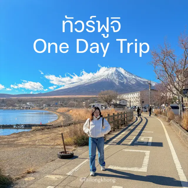 Fuji One Day Trip Tour