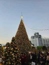 維港日落剪影絕美打卡地📸 西九文化區