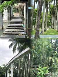 隱藏在市區裏的綠野仙蹤💕深圳(燕晗山郊野公園)治癒祕境