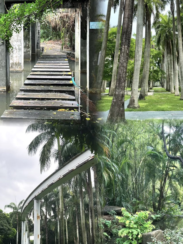 隱藏在市區裏的綠野仙蹤💕深圳(燕晗山郊野公園)治癒祕境 隱藏在市區裏的綠野仙蹤💕深圳(燕晗山郊野公園)治癒祕境