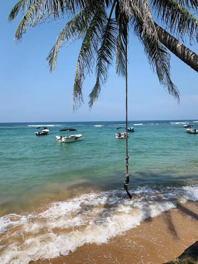 🌴 Southern Sri Lanka — where time slows down 🇱🇰✨