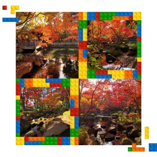 Toda City Stream Autumn Foliage Viewing Experience 🍁