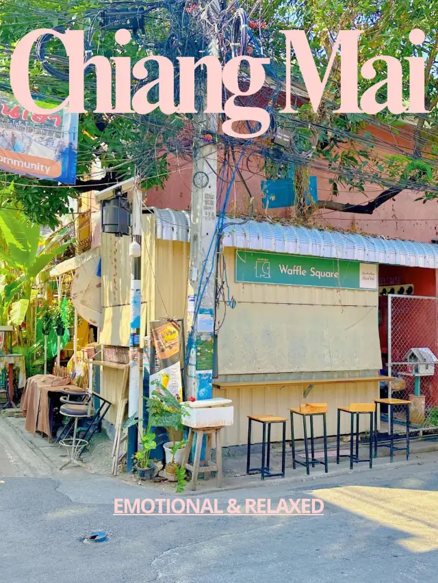 Recommended sentimental courses for traveling in Chiang Mai.