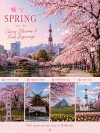 🍁❄️🌸🌿 ฮอกไกโด 4 ฤดูไปเดือนไหน… ได้เจออะไรบ้าง?