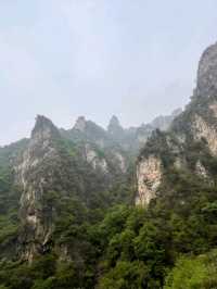 🌲 Yunmeng Mountain Royal Forest Park | A Breath of Nature