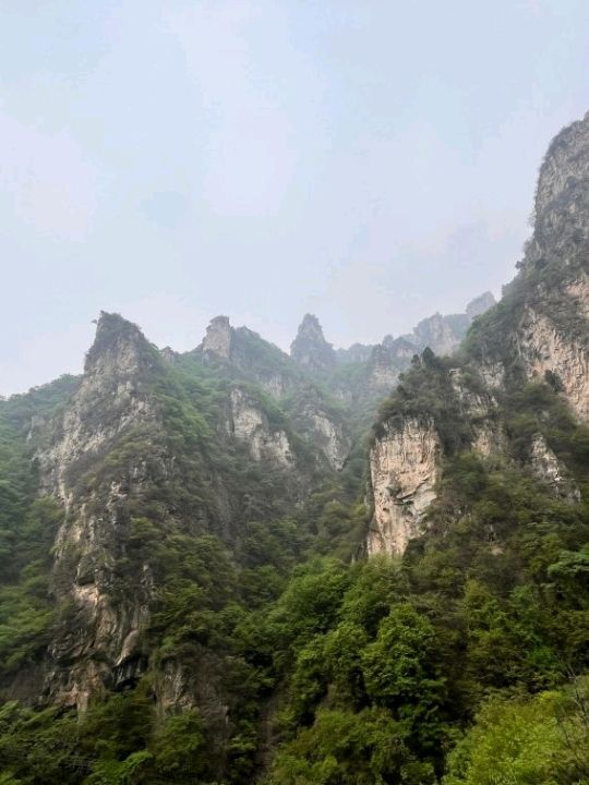 🌲 Yunmeng Mountain Royal Forest Park | A Breath of Nature