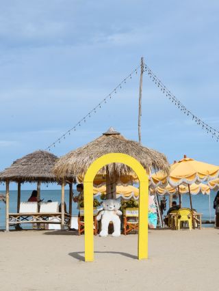 More Than Beach: 在海灘邊啜飲咖啡欣賞白鴨群 