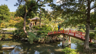 🇯🇵⛩️ 廣島一日遊－歷史、美食與宮島的完美融合