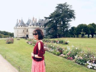 探索迷人的法國昂布瓦斯 (d'Amboise) 