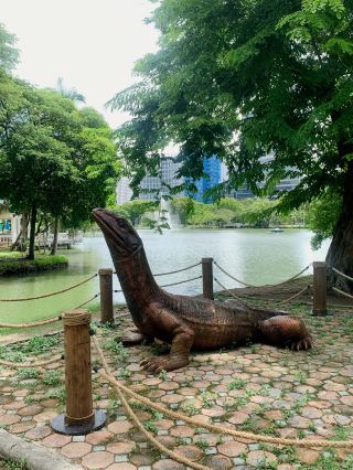 👀 WHAT NOBODY TELLS YOU ABOUT LUMPINI PARK