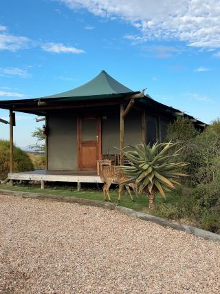 🦒 Buffelsdrift Game Lodge — Luxury Tent Accommodation Amidst a Safari in Oudtshoorn

If your trip to Oudtshoorn isn't just about visiting the ostrich farm, but also want to experience an African safari, Buffelsdrift Game Lodge is the perfect place to make your overnight stay an integral part of your trip.

Lodge is located approximately 6.5 kilometers from Oudtshoorn, at the foot of the Swartberg Mountains in the Klein Karoo area, and boasts a 5-hectare body of water at the heart of the property, offering a distinctly different atmosphere from typical hotels.

🏕️ Tents in Nature, Yet Incredibly Comfortable Inside

This is luxury tented accommodation. The tents are built on wooden floors, giving the feeling of staying in an African camp, but inside they feature king or twin beds, en-suite bathrooms, air conditioning, minibars, and complete amenities.

Especially the Luxury Waterhole Tent, located right by the water, with a private balcony where you can relax and watch the animals around the waterhole from your tent.

From the pictures, the accommodation appears simple and blends seamlessly with nature, not the opulent decor of a city hotel. But the real highlight is opening the door and being greeted by mountains, bushes, and natural landscapes all around.

🌄 Swartberg Mountains View

The views are especially stunning in the morning and evening. The light gradually changes on the mountain range and the Klein Karoo landscape, while the waterhole becomes a relaxing spot to enjoy nature.

If you choose a room near the water, you can sit on the deck with a cool drink and watch for animals coming to the water's edge.

🐘 A true safari experience

Buffelsdrift offers more than just accommodation; it also provides activities like Bush Safari, Meerkat Safari, and Elephant Experience, as well as wildlife viewing within the lodge grounds. The lodge states that you can see many species of animals, including elephants, giraffes, rhinos, and other wildlife.

This makes it ideal for a stay of at least one night, as the interesting moments aren't just during the day. But the morning atmosphere and sunset are also important parts of the experience.

📍 Great location for exploring Oudtshoorn

Another advantage is its location on the route to Cango Caves and only about 6.5 kilometers from Oudtshoorn town, making it convenient to use as a base for exploring various places in the area.

Buffelsdrift Game Lodge therefore gives the feeling of combining "accommodation + safari + mountain views" in one place. It's another experience that makes traveling through Oudtshoorn more African than staying in a typical city hotel.

Photos are of the original property taken by myself.

#Oudtshoorn #Buffelsdrift #GameLodge #Safari #SouthAfrica