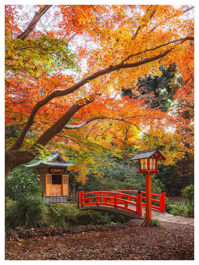 Japan In Autumn Is A Different Kind Of Magic 🍁🇯🇵