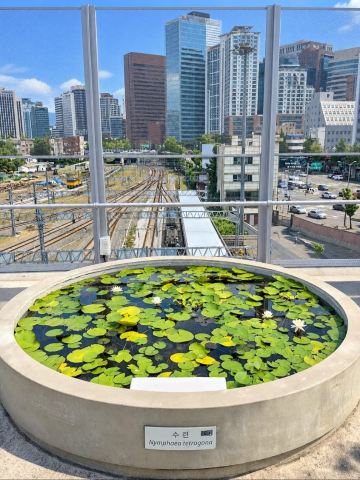 ひょうたんオブジェ From traffic to trees | Trip.com Seoul